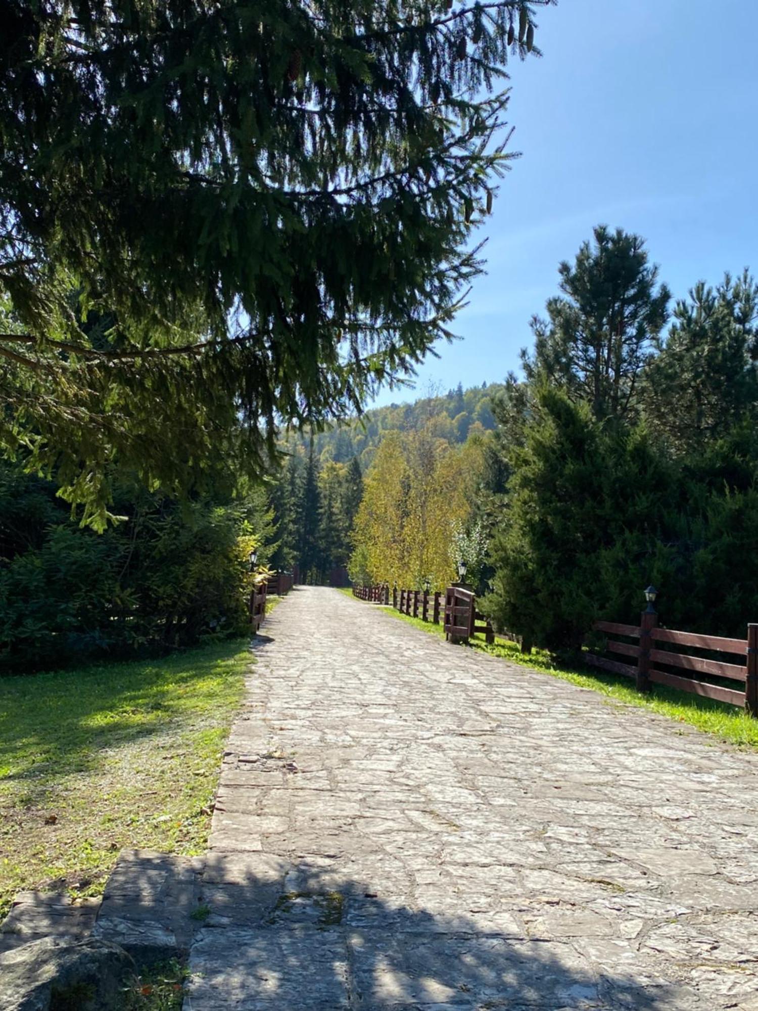 Relaxation In Guta Гута Покращене Шале Exteriör bild