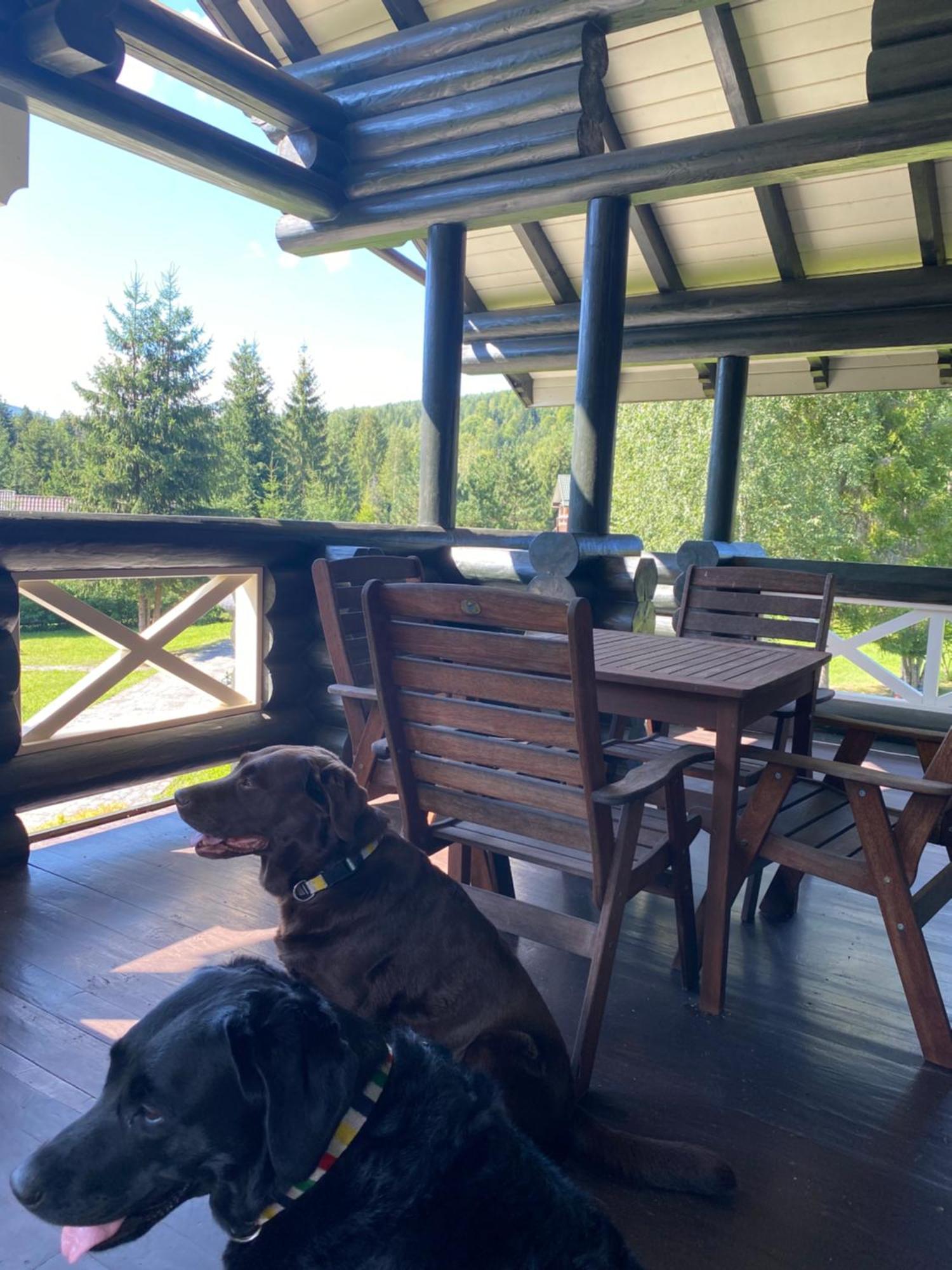 Relaxation In Guta Гута Покращене Шале Exteriör bild